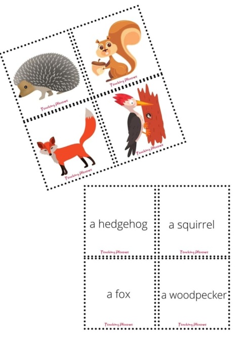 AUTUMN - vocabulary, speaking and games PACK